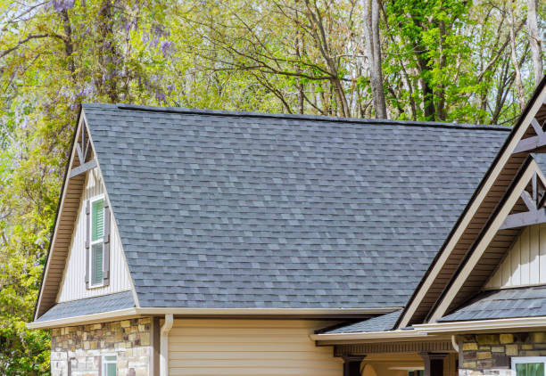 Best Chimney Flashing Repair  in Caldwell, OH